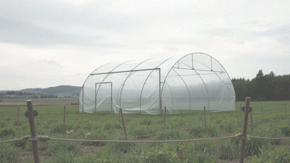 Jak zabezpieczyć tunel foliowy przed silnym wiatrem?