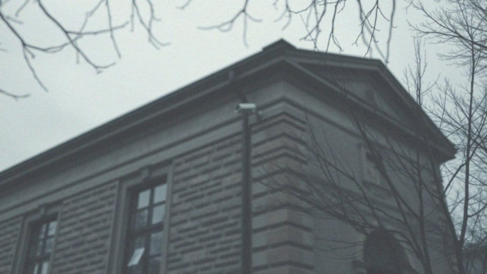 Jakie przestępstwa są przypisywane żonie i synowi?