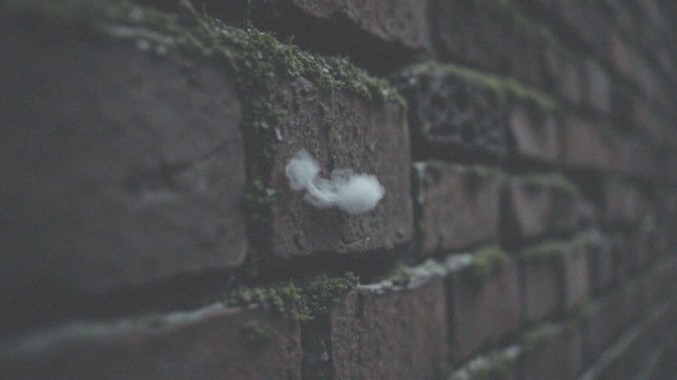 Co wywołuje gruźlicę? Przyczyny, objawy i profilaktyka