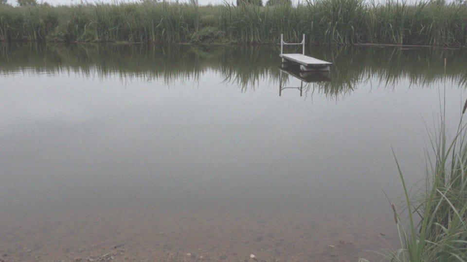 Czy wapno budowlane nadaje się do stawu? Korzyści i ryzyka