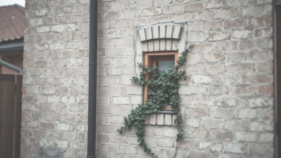 Darowizna mieszkania a zachowek dla rodzeństwa – co warto wiedzieć?