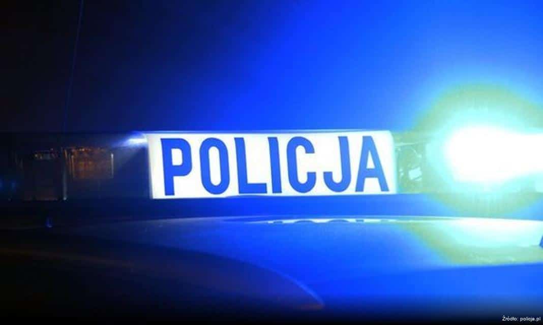 Policjanci biorą udział w akcji sadzenia lasu w Tucholi