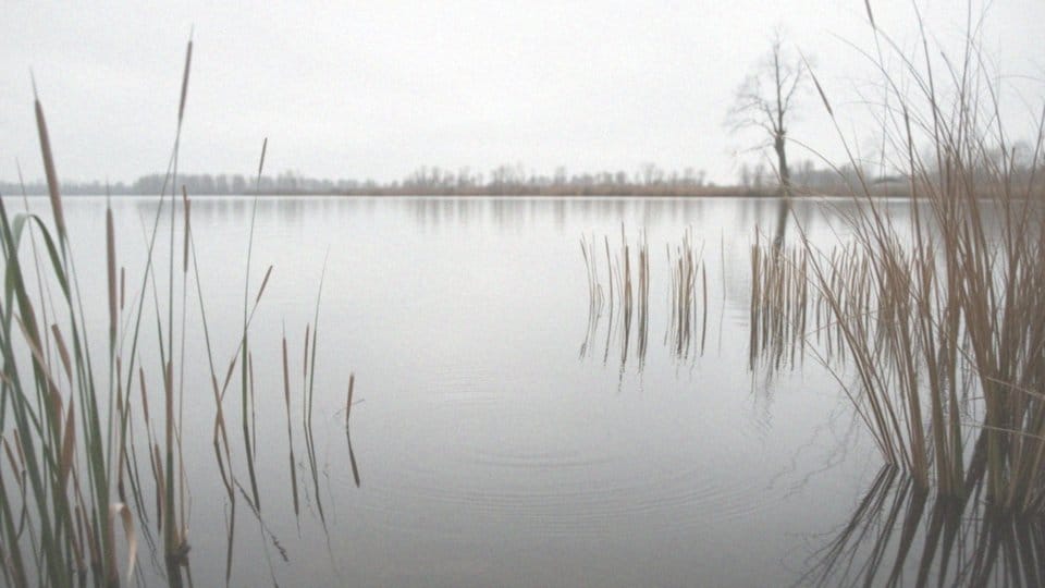 Okres ochronny szczupaka – zasady i regulacje w Polsce