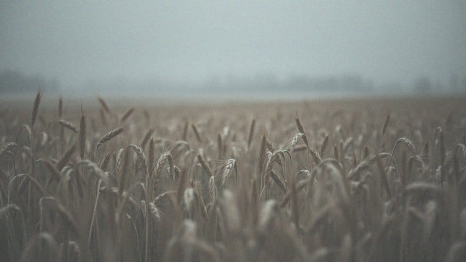 Rak z przerzutami – ile czasu zostało pacjentowi?