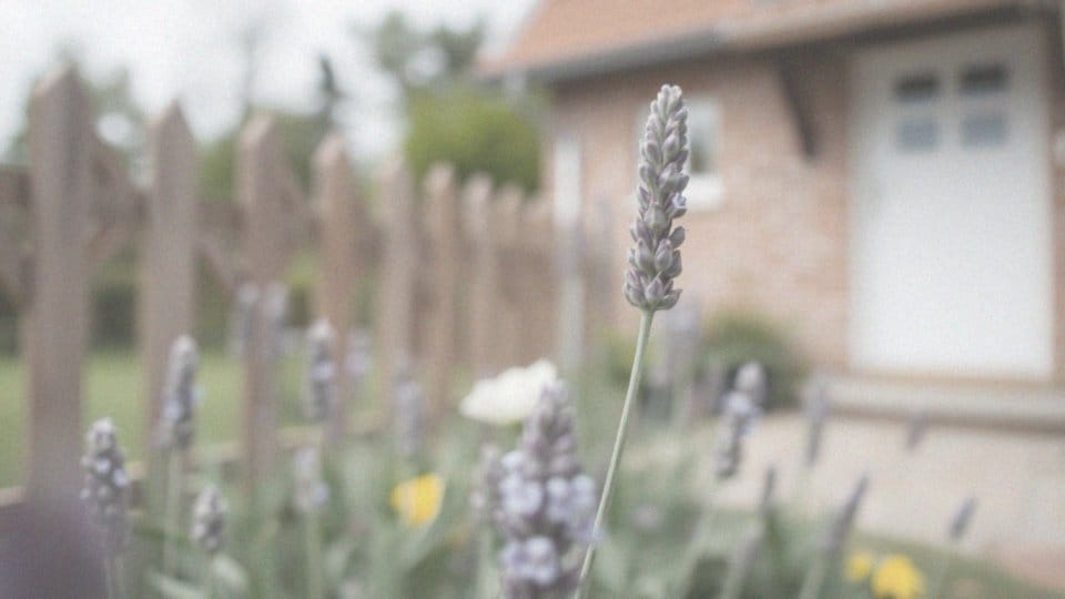 Z jakimi problemami idzie się do endokrynologa? Kluczowe informacje